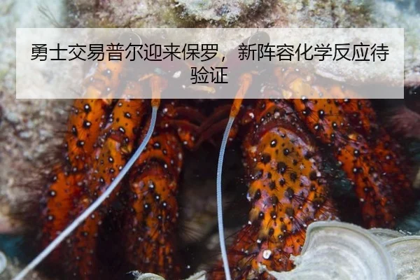 yong-shi-jiao-yi-pu-er-ying-lai-bao-luo-xin-zhen-rong-hua-xue-fan-ying-dai-yan-zheng-2-114.jpg