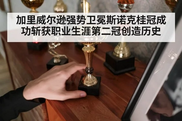 加里威尔逊强势卫冕斯诺克桂冠成功斩获职业生涯第二冠创造历史